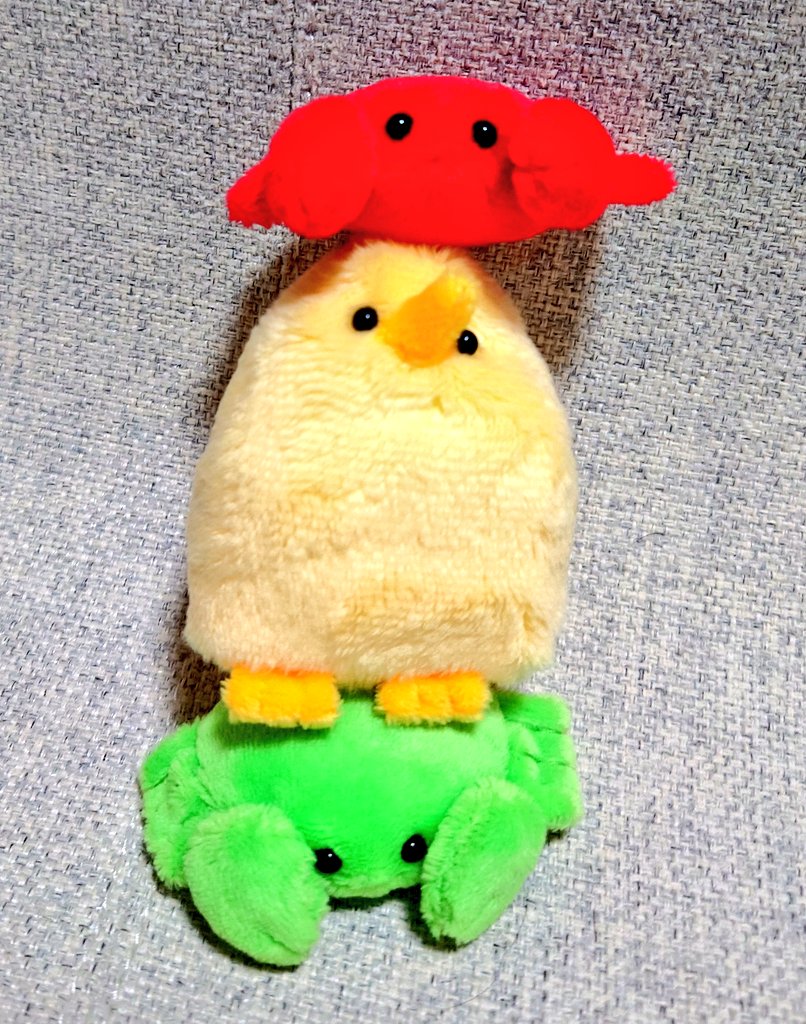 syuminonikomi's tweet photo. ｽﾐｼﾞﾝさん(@usani_san)のさんかくのﾄﾘさんがきたよ🐥
デザフェス行けなかったけど後日ﾂｰﾊﾝしてたの⁉️もう何日も前だし誰もいないよね…😭って覗いたら目が合ったいのこりﾄﾘさんでした
お迎えに出てきてから気付いたけど先住ｶﾆさんと信号機だね🚥
うちに来てくれてありがとうね〜 https://t.co/U76jjAr7xp