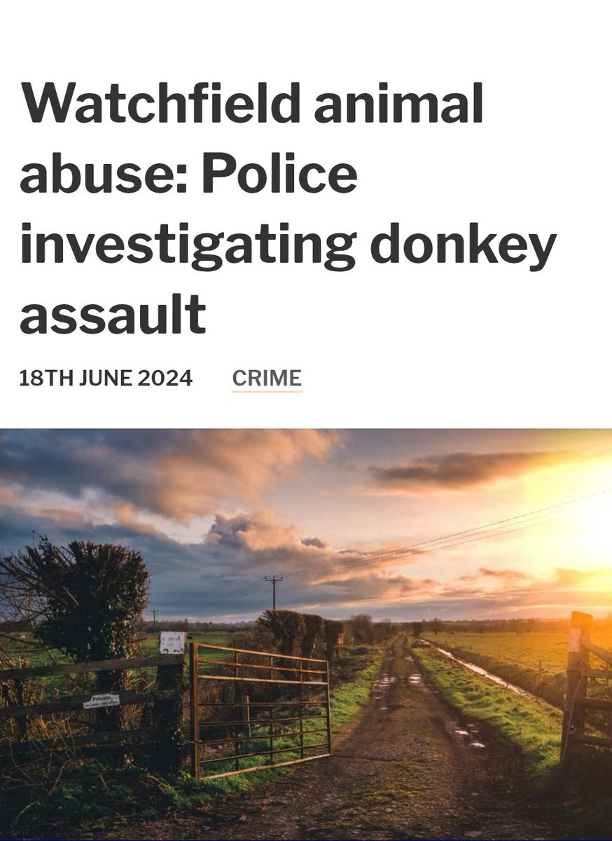 LeoKearse's tweet image. This could bring about change. Britain's chattering class don't care about working class girls, but heaven forbid you touch a donkey.