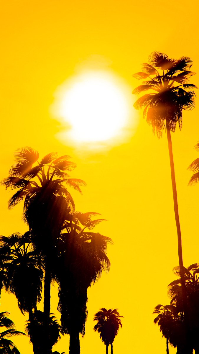 It's scorching!
#GTA5 
#GTAOnline 
#B1GMATIC 
#SnapArtCrew 
<a href="/RockstarGames/">Rockstar Games</a>