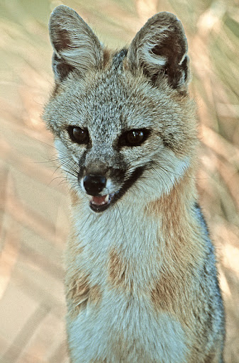 Nick Gray tweet media