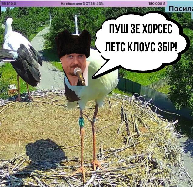 LelekaGricko's tweet image. На пікап, осьо: send.monobank.ua/jar/7CaHx7ap3e пуш пуш пуш