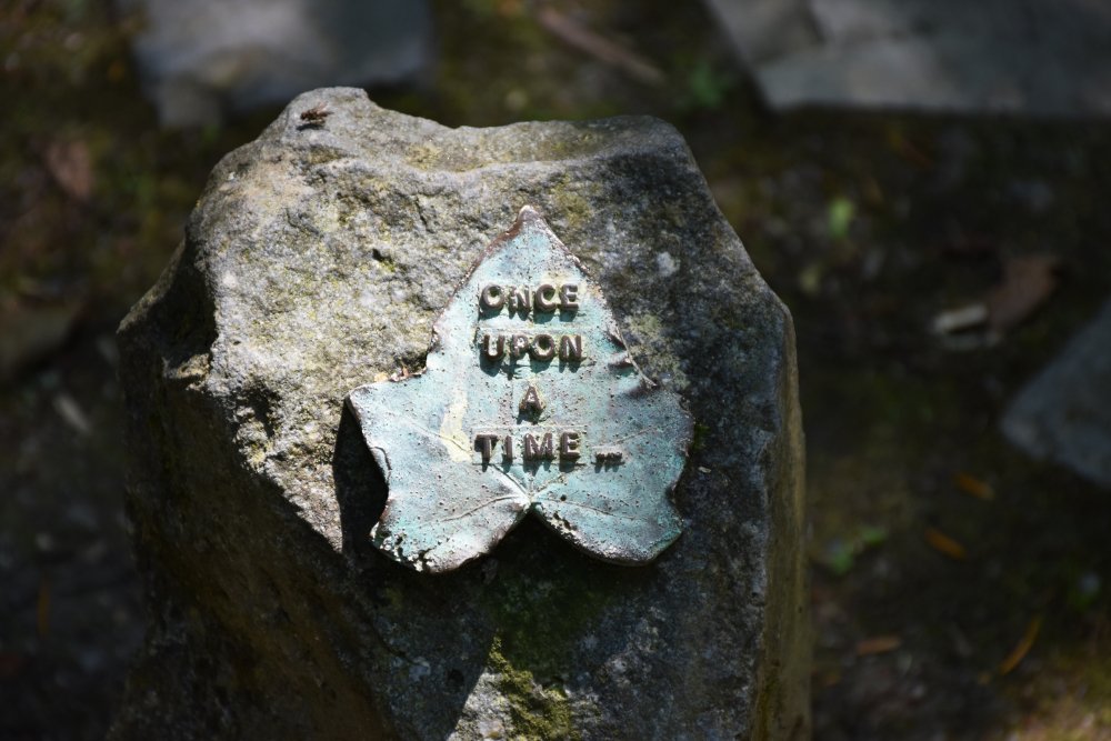 JackMwriter's tweet image. Once upon a time, in the deep heart of an enchanted wood, a curious leaf detached itself from a tree and ventured into an area of the forest where there lived a dragon with a fierce breath which could turn things to bronze…
#edenproject #enchantedforest #MythandFolklore