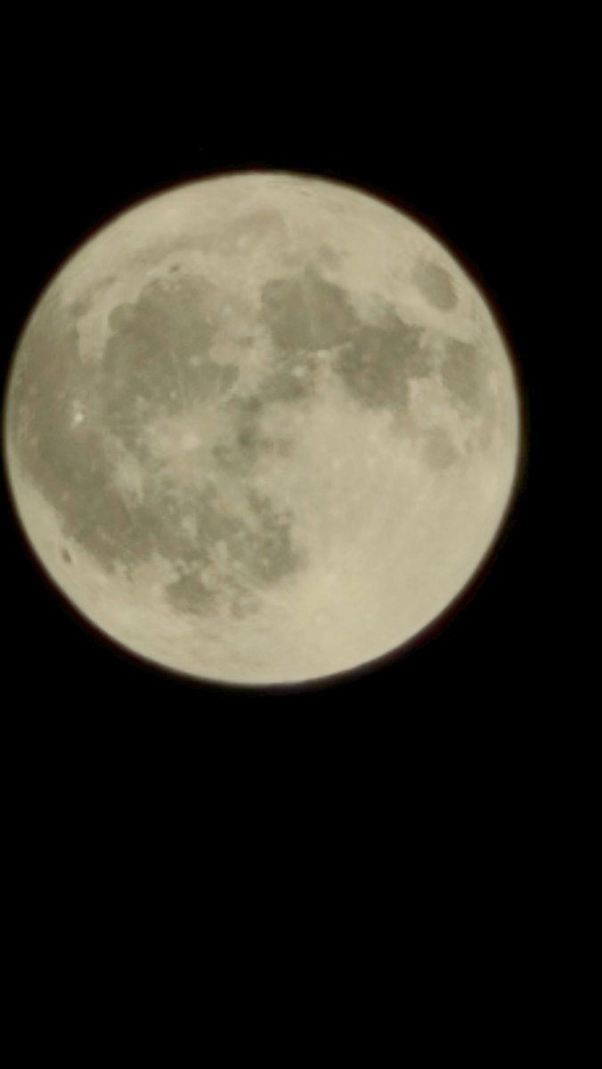 CelesteWAO's tweet image. I buy many NFTs to support
But my soul belongs to @MadLads ๐ฅ
In Armani we trust
WAO ๐๐ซถ
P.S. I do photography, last night the moon was beautiful, so I sent my Lad to the moon ๐
