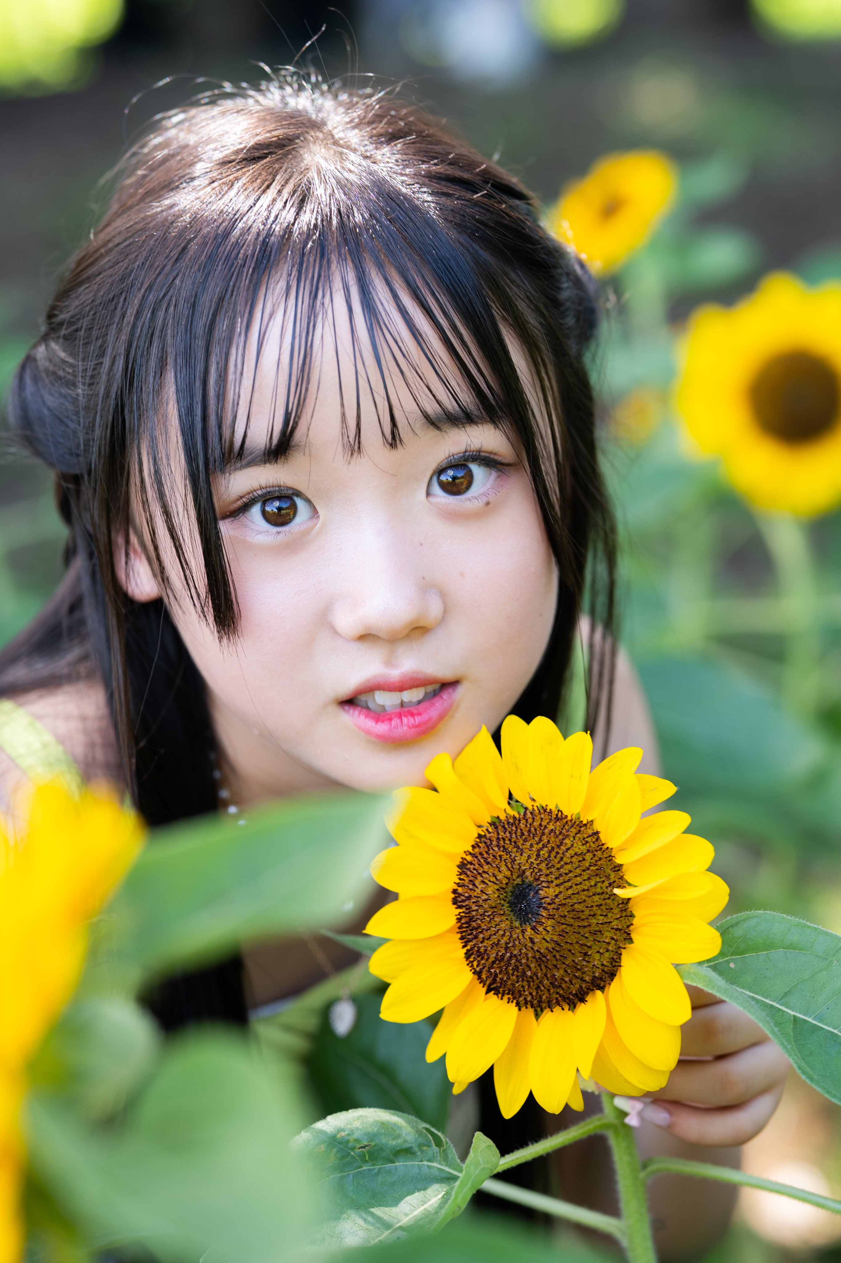 *サラ*様♡ありがとうございます♡ いさらーてぃすと - البحث / X