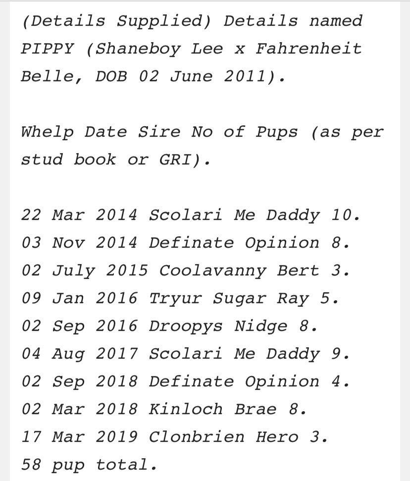 GreyhoundAwarensCork (@greyhawarencork) on Twitter photo <a href="/velvets14/">BV OWNERS FORUM</a> How ironic to see the word 'welfare' in an article including 'Salacres Pippy' when she was born into the 7th of NINE litters of her dam 'Pippy'. All within 6 years.
Conveniently the 9th litter was registered by GBGB since the Irish limit of 8 litters was passed.
Welfare? 🙄🙄 <a href="/velvets14/">BV OWNERS FORUM</a> How ironic to see the word 'welfare' in an article including 'Salacres Pippy' when she was born into the 7th of NINE litters of her dam 'Pippy'. All within 6 years.
Conveniently the 9th litter was registered by GBGB since the Irish limit of 8 litters was passed.
Welfare? 🙄🙄
