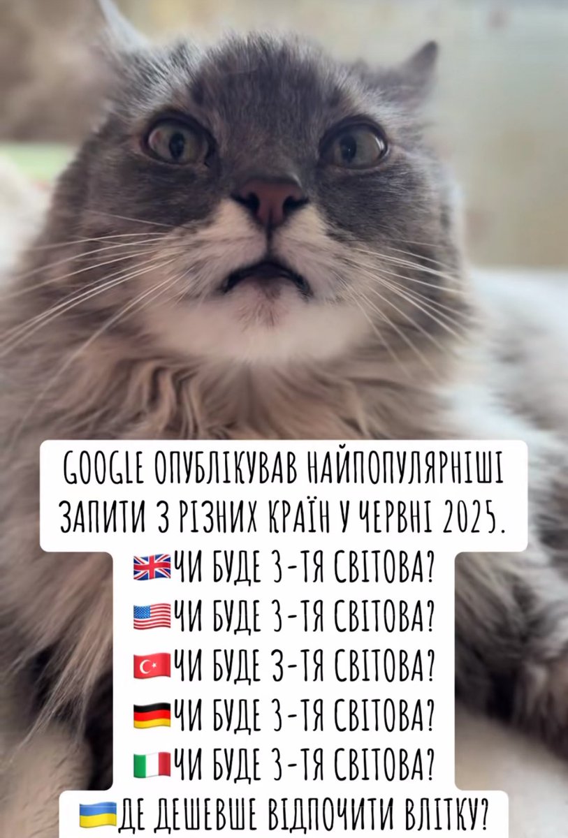 Oksii33's tweet image. Google published the most popular searches from different countries in June 2025.
World: Will there be a third world war?
🇺🇦: Where is it cheaper to vacation in summer?
Because WW3 has already started, people just haven’t realized it yet.