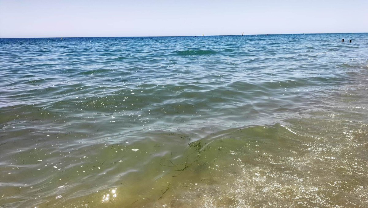¡Un mar de burbujas, una asquerosidad!

En fila india perfecta de un punto que se nos escapa, la suciedad  ha ido llegando a la playa con Bandera Azul de Vera...qué haber quién es el valiente que se baña.

Una pena que la Junta de Andalucía no tome interés.