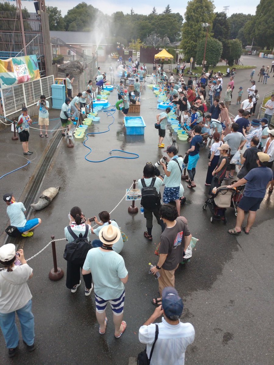 tobuzoo7's tweet image. 打ち水オットセイまであと5日!!🌊
打ち水オットセイを知らない方は、今までの写真を見て濡れる準備して待ってて下さいね…!😇
暑さぶっっっとびます!!
⚠️そして、全身濡れます⚠️
#東武動物公園
#打ち水オットセイ
#オリTも販売してます