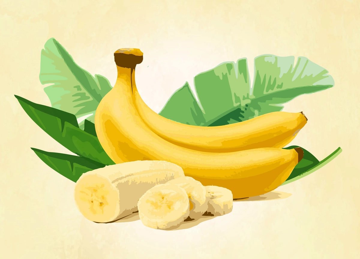 epochhealth's tweet image. Bananas may lower blood pressure faster than meds.
A new study found that eating 3 green bananas a day for just 2 weeks significantly lowered blood pressure in people with hypertension.
No drugs. No side effects. Just a fruit working like medicine.
So what makes green bananas…