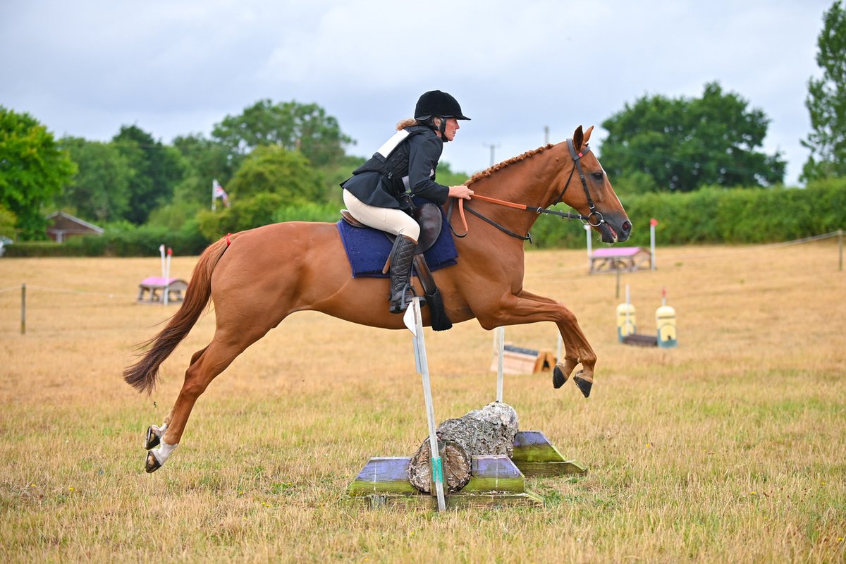 Breizh' (and mine) first time doing an ODE yesterday, 39.38 in the dressage (thankfully no photos ☺️) and clear rounds showjumping and XC. Only mini stuff, but we had a good time and finished 2nd!

#retiredracehorse #retraining <a href="/TheHowdenWay/">TheHowdenWay</a> #thoroughbredaftercareprogramme