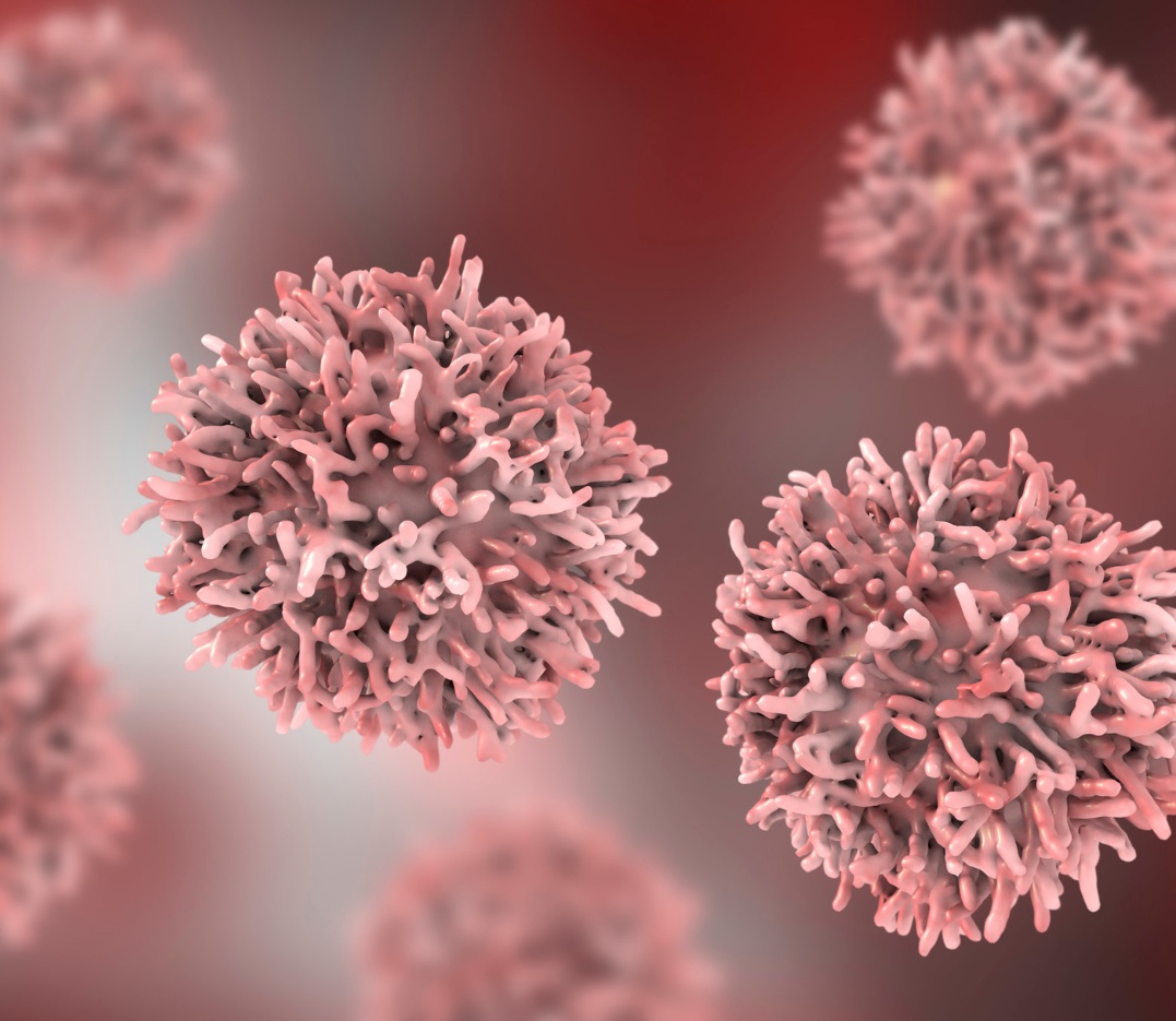 NobelPrize's tweet image. One in two people will develop some form of cancer during their lifetime, yet the role viruses play in the development of cancer was poorly understood before the work of three researchers who received the Nobel Prize 50 years ago.
Learn more: nobelprize.org/prizes/medicin…