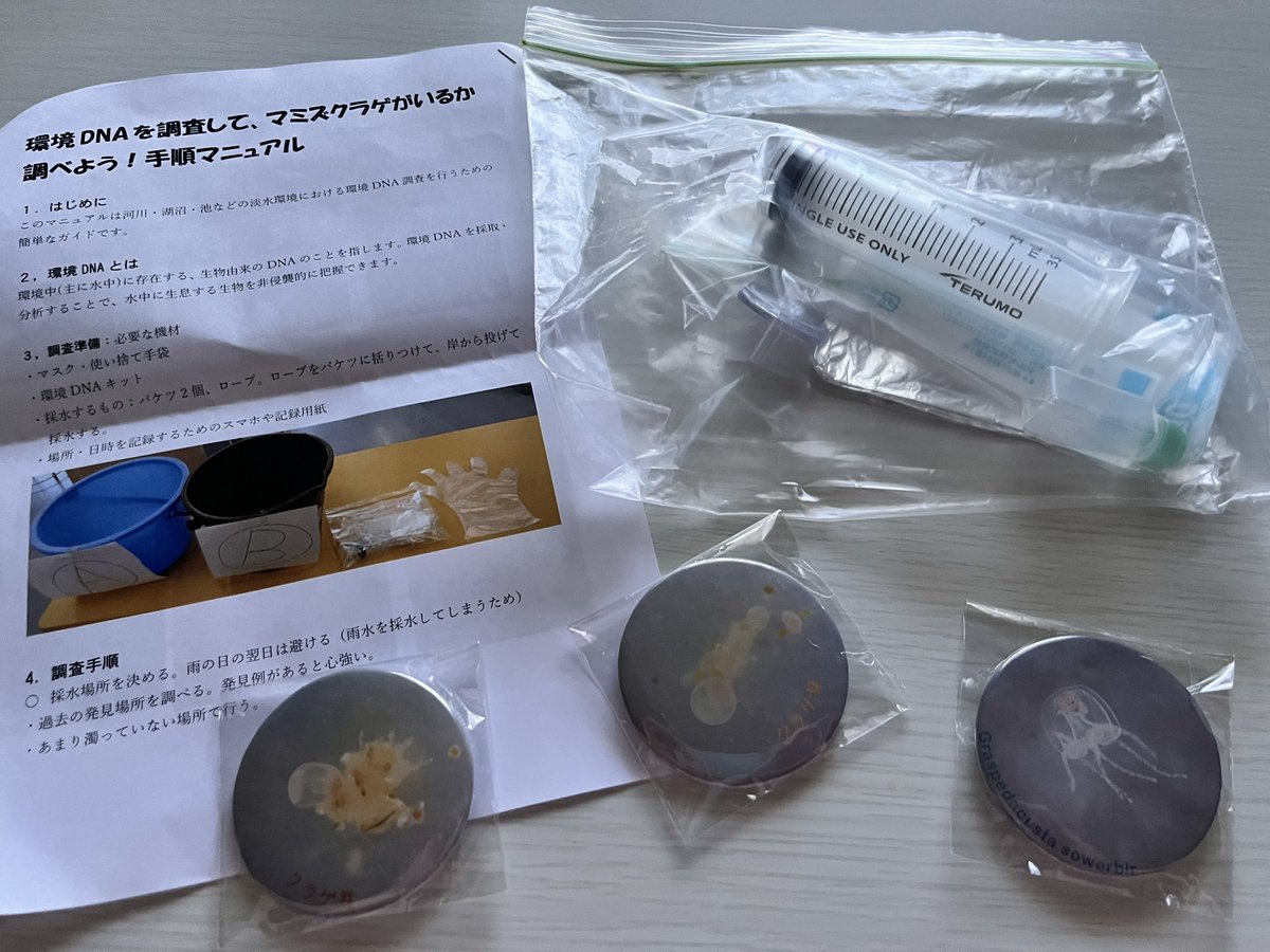 正智深谷　セット 制服市場 - 検索結果