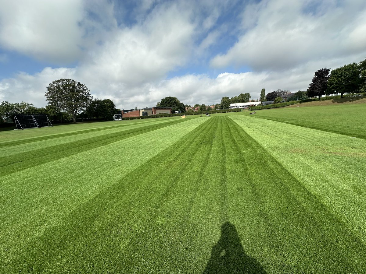 Callum Hall tweet media