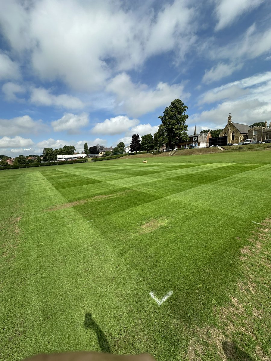 Callum Hall tweet media