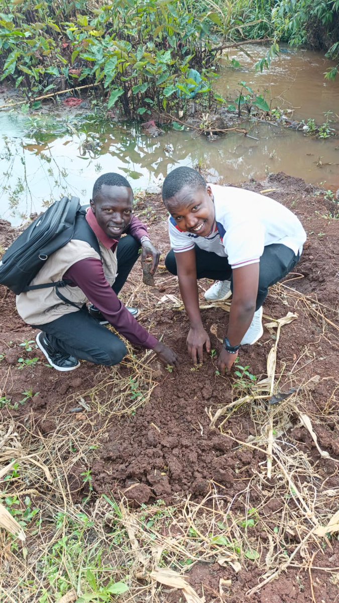 When you love your community you take care of it