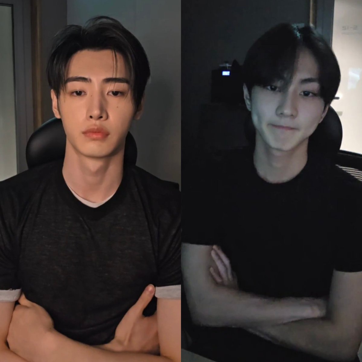 the owner                        the cat