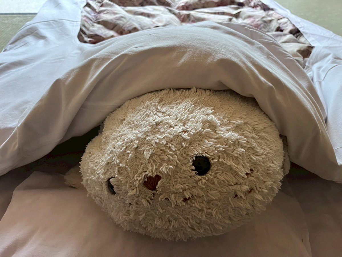 shiro1999tan's tweet image. 〜しろたんの24時間〜
朝 山を見たん
夕 移動時カバンに詰められたん
その後テレビを見たん
夜 布団に入ったん
#しろたん
