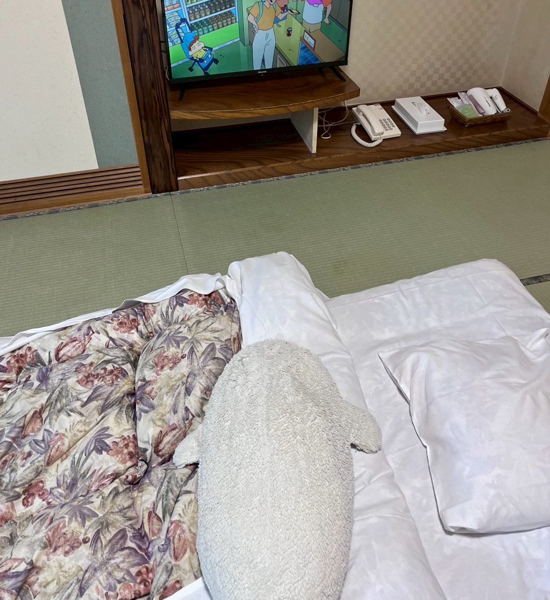 shiro1999tan's tweet image. 〜しろたんの24時間〜
朝 山を見たん
夕 移動時カバンに詰められたん
その後テレビを見たん
夜 布団に入ったん
#しろたん