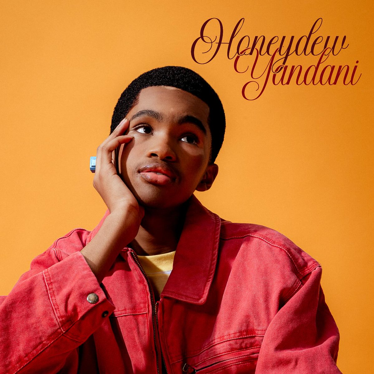 weplug_music's tweet image. Chart update: @Yandani__ - Honeydew
#29 on Tuks Fm Top40