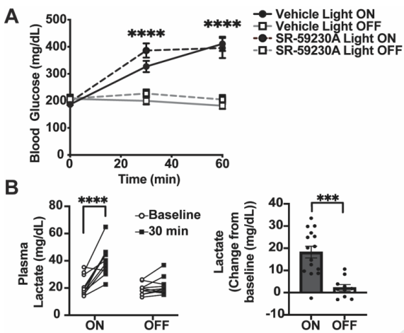Congrats to <a href="/UMPhysiology/">UMPhysiology</a> PhD student Jiaoo Su and the Affinati lab for his first author paper in <a href="/MolMetab/">Molecular Metabolism</a> identifying a distinct subset of glucose-mobilizing VMH neurons that support physiologic glucose homeostasis.  clinicalkey.com/#!/content/pla…