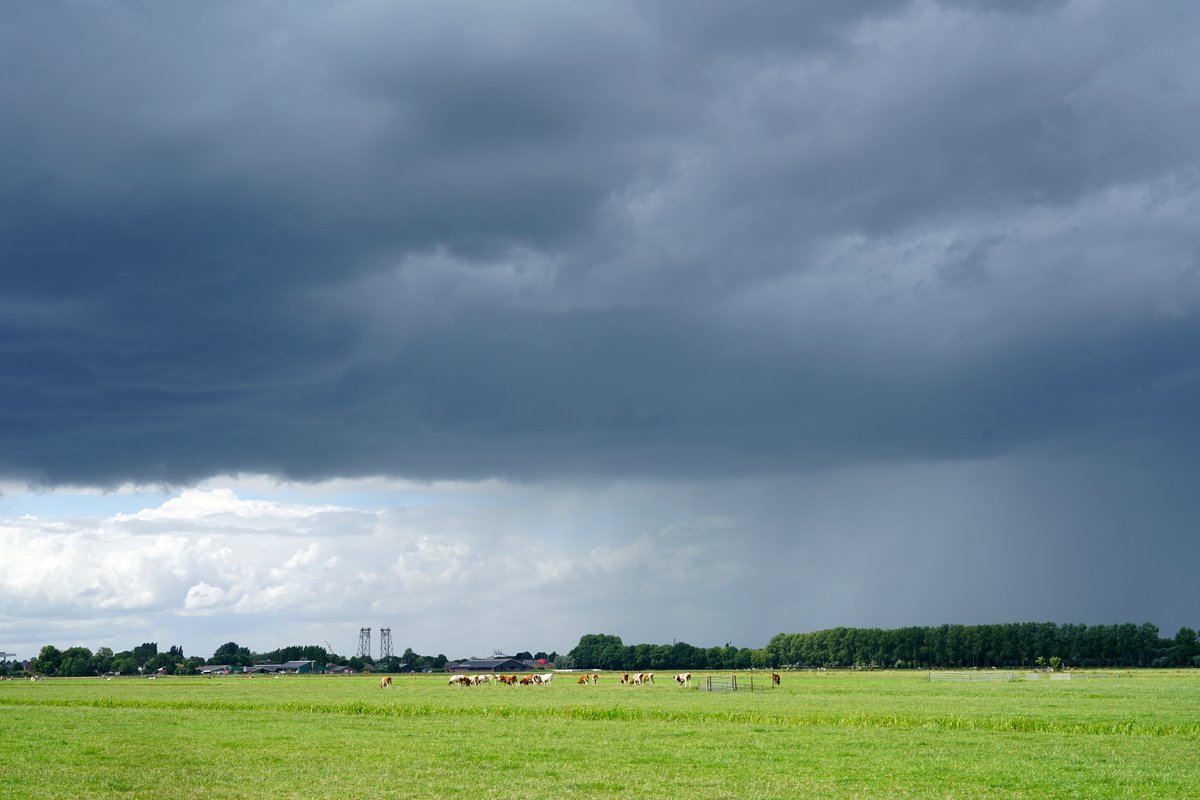Pittige hoosbuien in Alphen aan den Rijn <a href="/BuienRadarNL/">Buienradar</a> <a href="/onwukaa/">Amara Onwuka</a> <a href="/weeronline/">Weeronline</a> <a href="/NOSWeer/">NOS Weer</a> <a href="/studioalphen/">Studio Alphen</a>