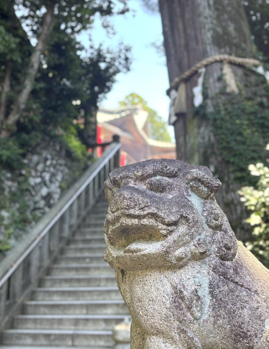 sake_kakishima's tweet image. #高尾山
大本坊の蓮のお花が一輪、清らかに咲いていました🪷
#弁天窟 は初めてお詣りさせていただきました♪
洞の中はひんやり涼しくて神秘的で、ポタリポタリと雫が当たるのもありがたいような気持ちに😌🙏☘️
#福徳弁財天 さま