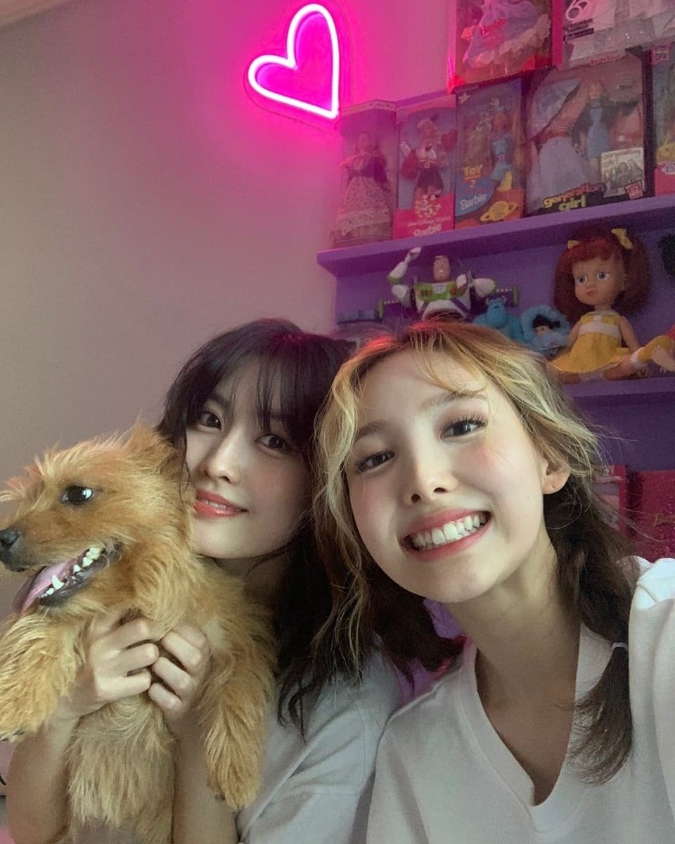todayintwice's tweet image. 4 years ago today, NAYEON and MOMO posted these photos on Instagram.