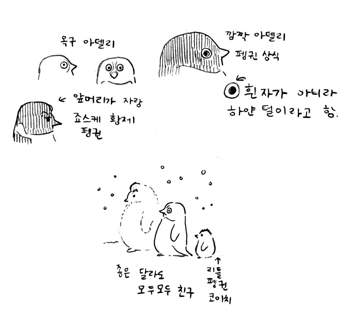 다이아몬드는 부서지지 않는다 편 스트리밍 일기 + 펭귄 장억
내일은 옥구가 형 만나고 돌아오는 편 스트리밍💎
youtu.be/jeu2yds-T9A?fe…