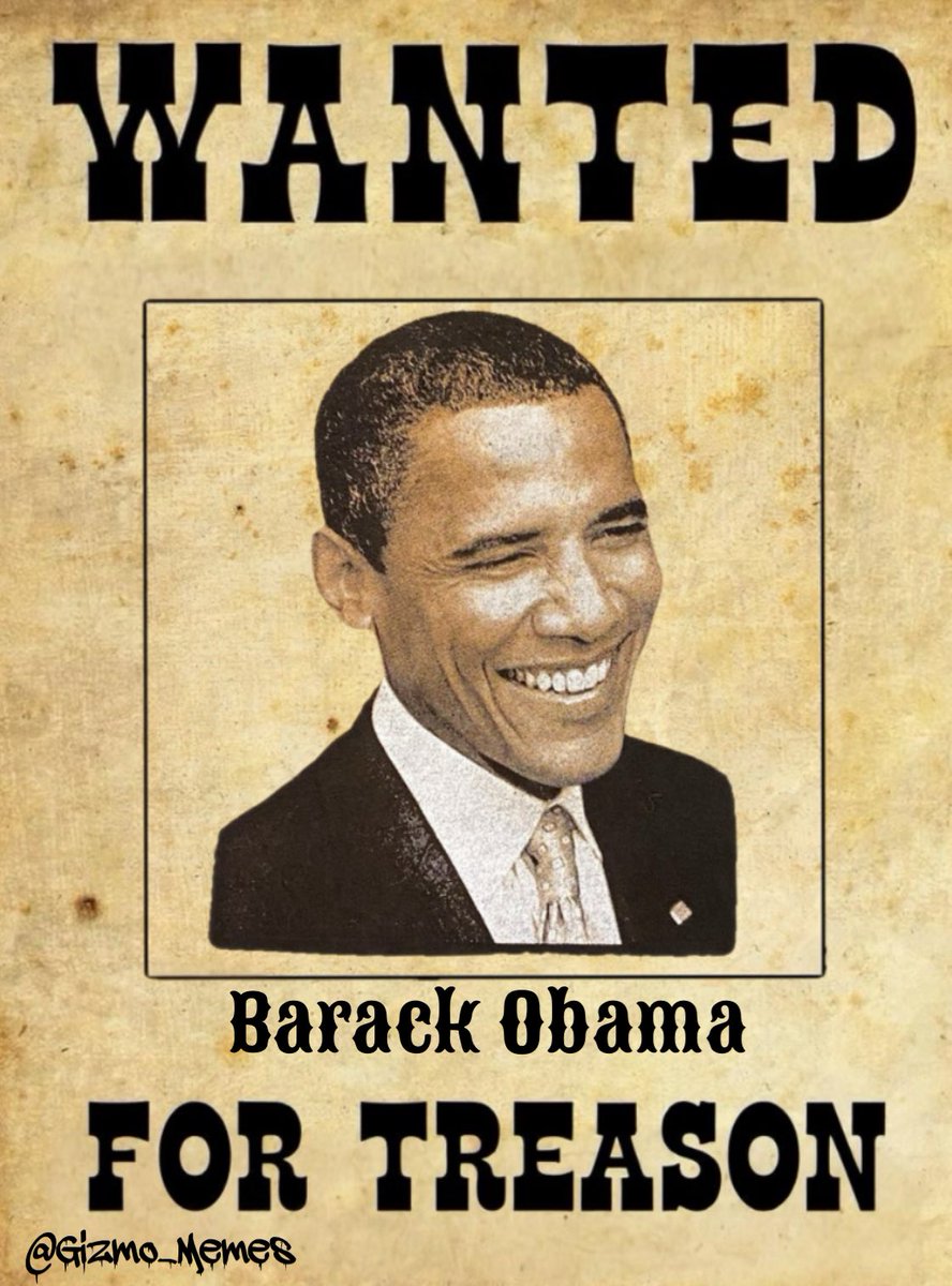 Gizmo_Memes's tweet image. Good Monday morning, 𝕏 fam.
It’s a great day to arrest Obama!