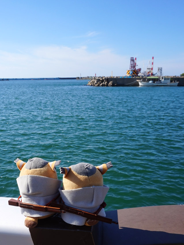 ymahkamui's tweet image. 🌊🐱🐱海の日（再掲）
#フォゼ尾といっしょ