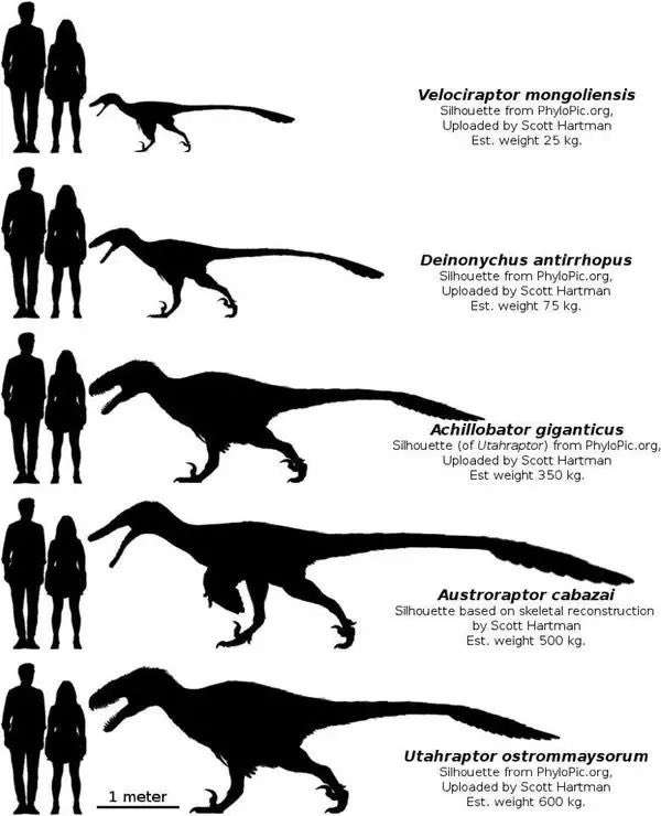 LisTham_'s tweet image. The more I think about it @primitivewar book needs to be turned into a video game 💯 such a heavy and suspenseful story that would translate perfectly into gaming and campaign mode. Love how accurate they are and how the Utahraptors are finally getting the love they deserve.