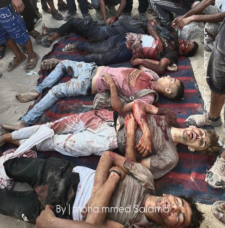 #عاشق_بحر_الخيال 🇵🇸🗝️ tweet media
