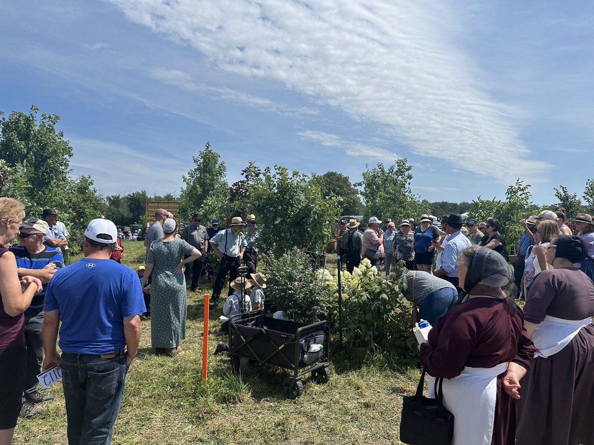 SenatorRobBlack's tweet image. The 28th annual Amish School Fundraising Auction was held on Saturday, July 19, near Milverton, ON. Thousands of people turned out, gathering around 15+ auction rings and engaging with vendors of all kinds! The weather was perfect! It’s always a good day, rain or shine and I came…