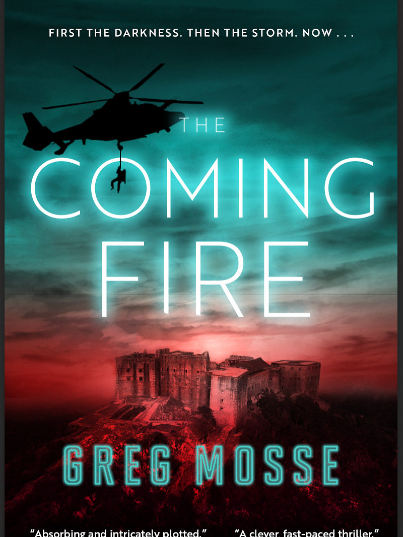 GregMosse's tweet image. In the crazed jungle of my unkempt border, one ripened tomato is hiding :) I will eat it to celebrate publication of #TheComingFire !