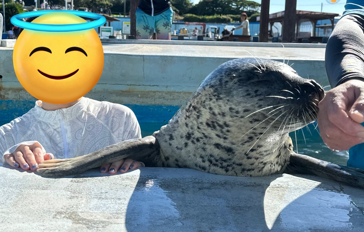 oreo_415_'s tweet image. 今年もナルちゃんでした!🫶
私が先に手を置いてたからだよね🥹
ごめんねナルちゃん🥹でもずっしり重みを感じれて最高だったよ🥹♡
#南知多ビーチランド #ナル