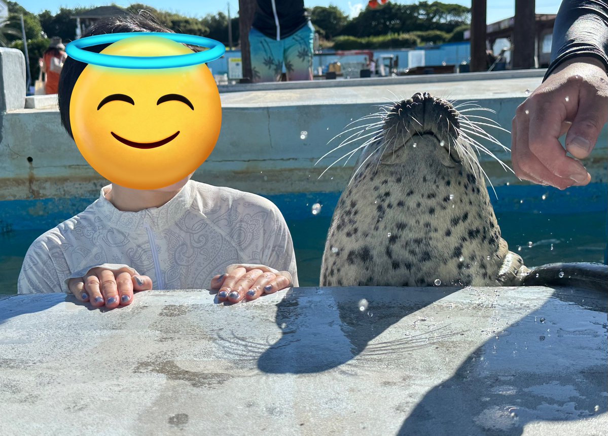 oreo_415_'s tweet image. 今年もナルちゃんでした!🫶
私が先に手を置いてたからだよね🥹
ごめんねナルちゃん🥹でもずっしり重みを感じれて最高だったよ🥹♡
#南知多ビーチランド #ナル