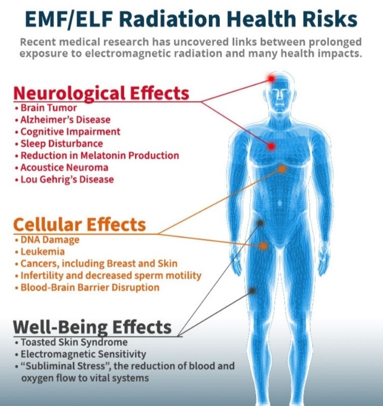 nogps1's tweet image. Frequency weapons...
It's easier to concentrate on the geoengineering, after all the chemical spraying is so blatant going on relentlessly above our heads.. but please don't forget the greater danger because you can't see it!..
Frequency... it's invisible, slient and deadly!