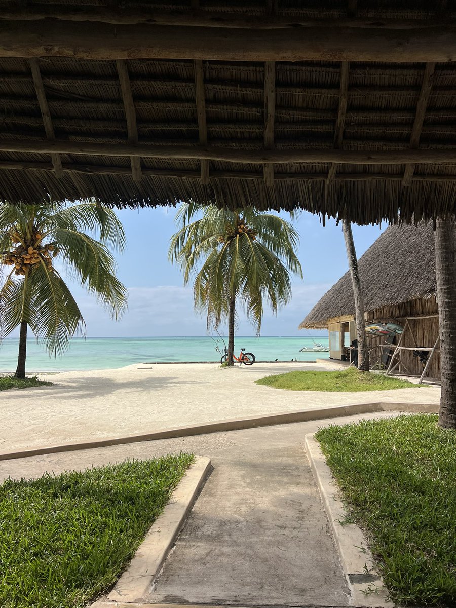 GM from paradise ✨

Someone said it’s nft season?