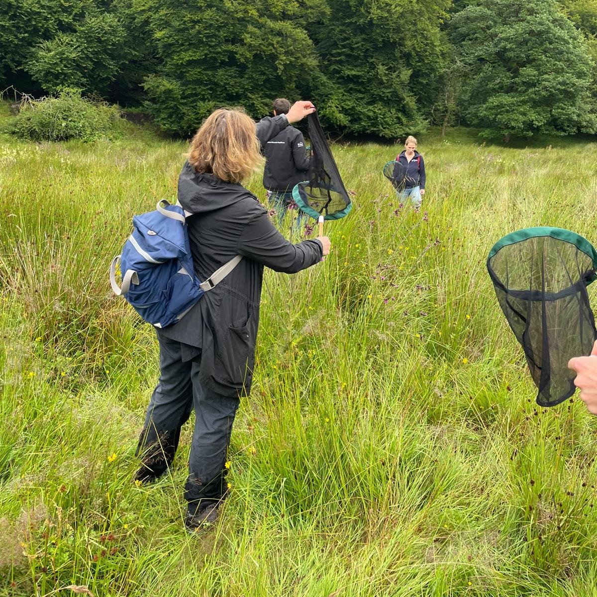 ExmoorNP's tweet image. Thanks to everyone who came along to our Bumblebee ID, survey and BeeWalk, volunteer training day with @BumblebeeTrust last week.
Find lots more interesting events this Summer by searching 'Exmoor Events'
#Summer2025 #summer #Devon #Somerset
