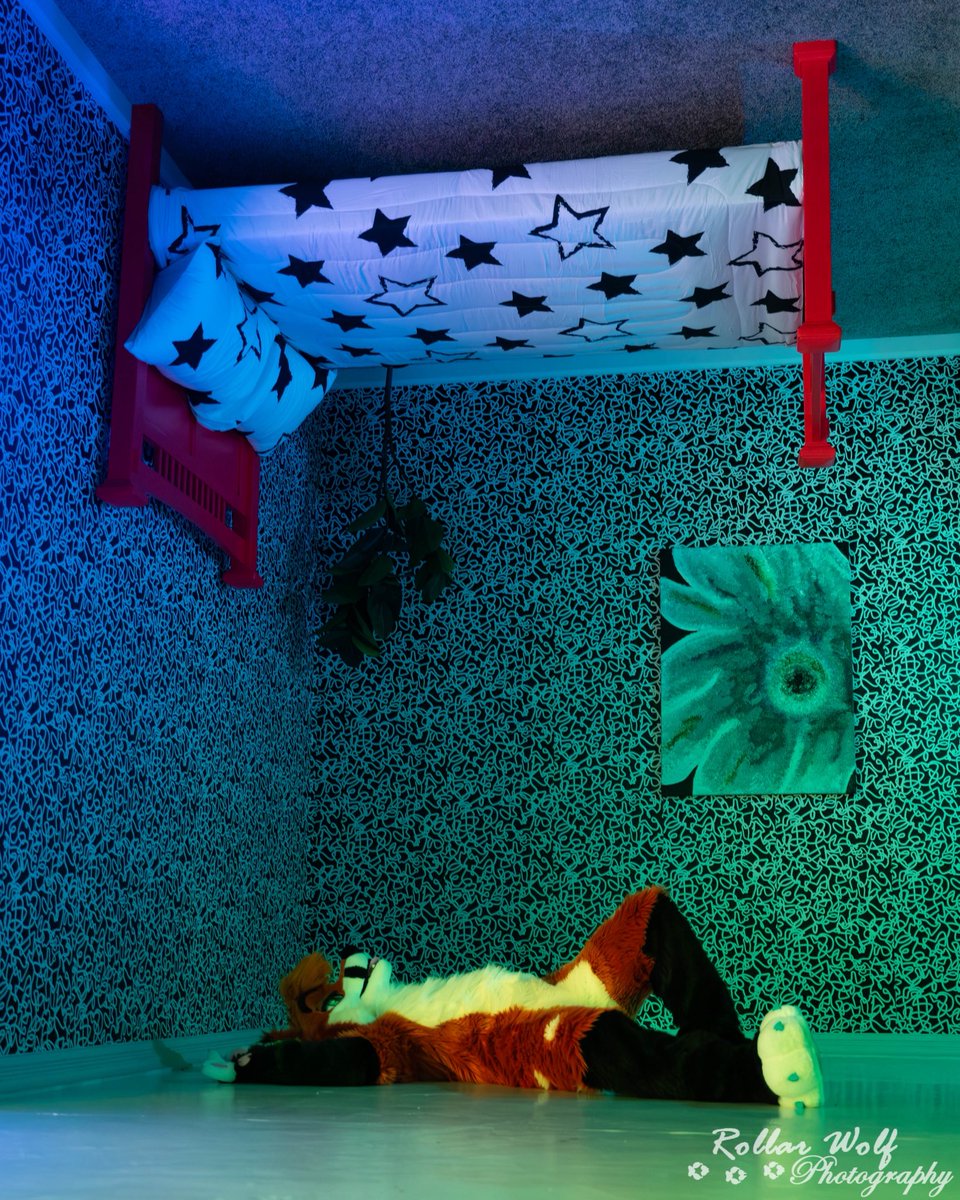 Monday mood. I just wanna crawl back in bed 

📸<a href="/rollarwolf/">Rollar Wolf</a>