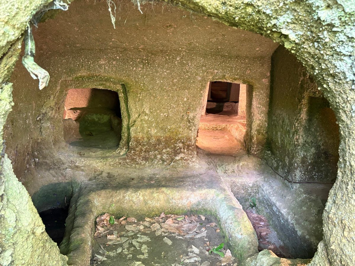 Tv2000.it (@tv2000it) on Twitter photo Con #BorghidItalia alla scoperta di Grotte di Castro (VT), la città delle necropoli etrusche e di Maria SS. del Suffragio.
Oggi #26luglio ore 12.15 su #TV2000
📺 Canale 28
📡 157 Sky
<a href="/MarioPlacidini/">Mario Placidini</a> <a href="/RegioneLazio/">Regione Lazio</a> <a href="/TouringClub/">TouringClubItaliano</a> <a href="/visit_lazio/">Visit Lazio</a> <a href="/comuni_anci/">comuni_anci</a> Con #BorghidItalia alla scoperta di Grotte di Castro (VT), la città delle necropoli etrusche e di Maria SS. del Suffragio.
Oggi #26luglio ore 12.15 su #TV2000
📺 Canale 28
📡 157 Sky
<a href="/MarioPlacidini/">Mario Placidini</a> <a href="/RegioneLazio/">Regione Lazio</a> <a href="/TouringClub/">TouringClubItaliano</a> <a href="/visit_lazio/">Visit Lazio</a> <a href="/comuni_anci/">comuni_anci</a>