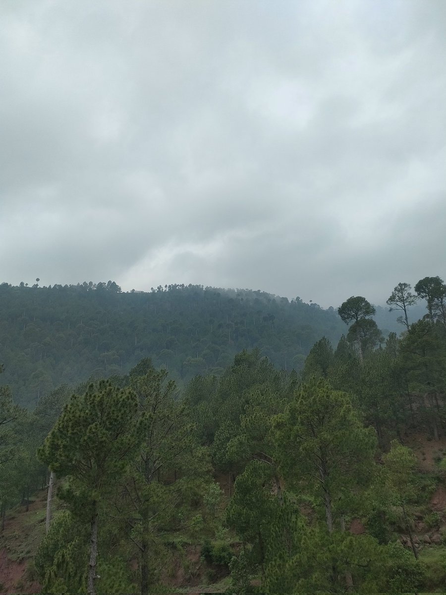 Good Evening 

آج بارش کہاں کہاں ہو رہی ہے