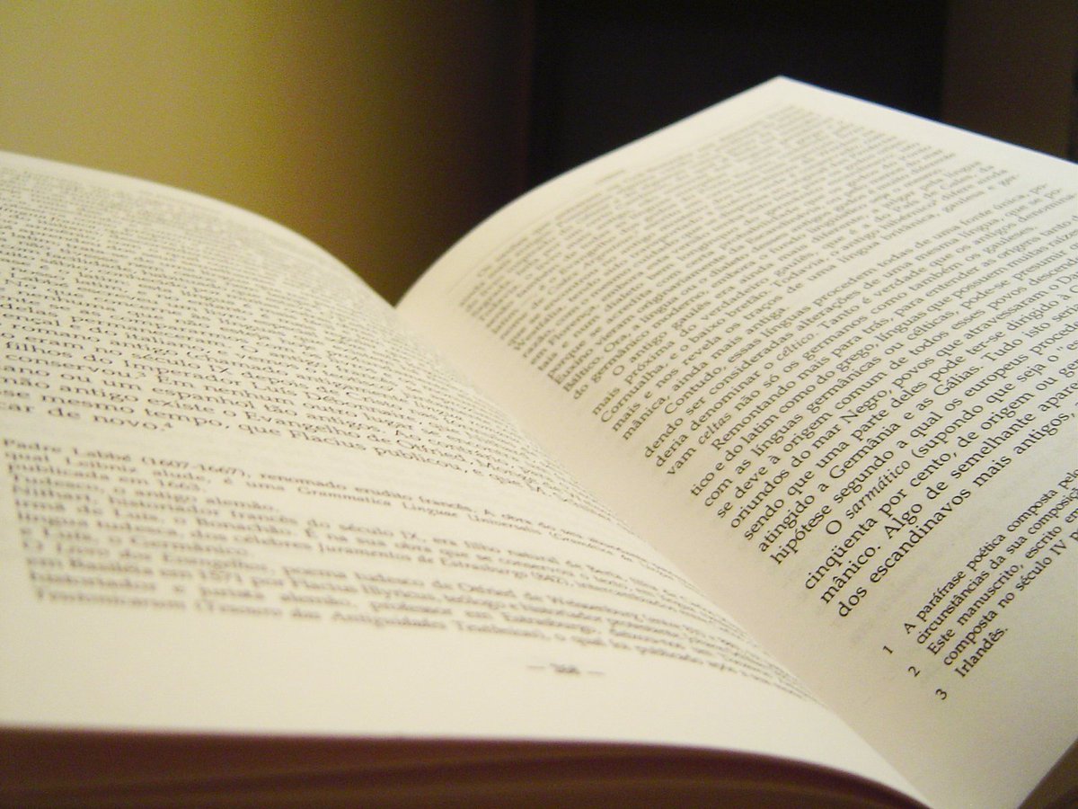 Podem enfiar inteligência artificial até no café, inventar chip que lê pensamento, livro que fala, tela que vira holograma. Mas prazer de verdade continua sendo virar página de papel de um livro e sentir o cheiro e o tato da leitura física...