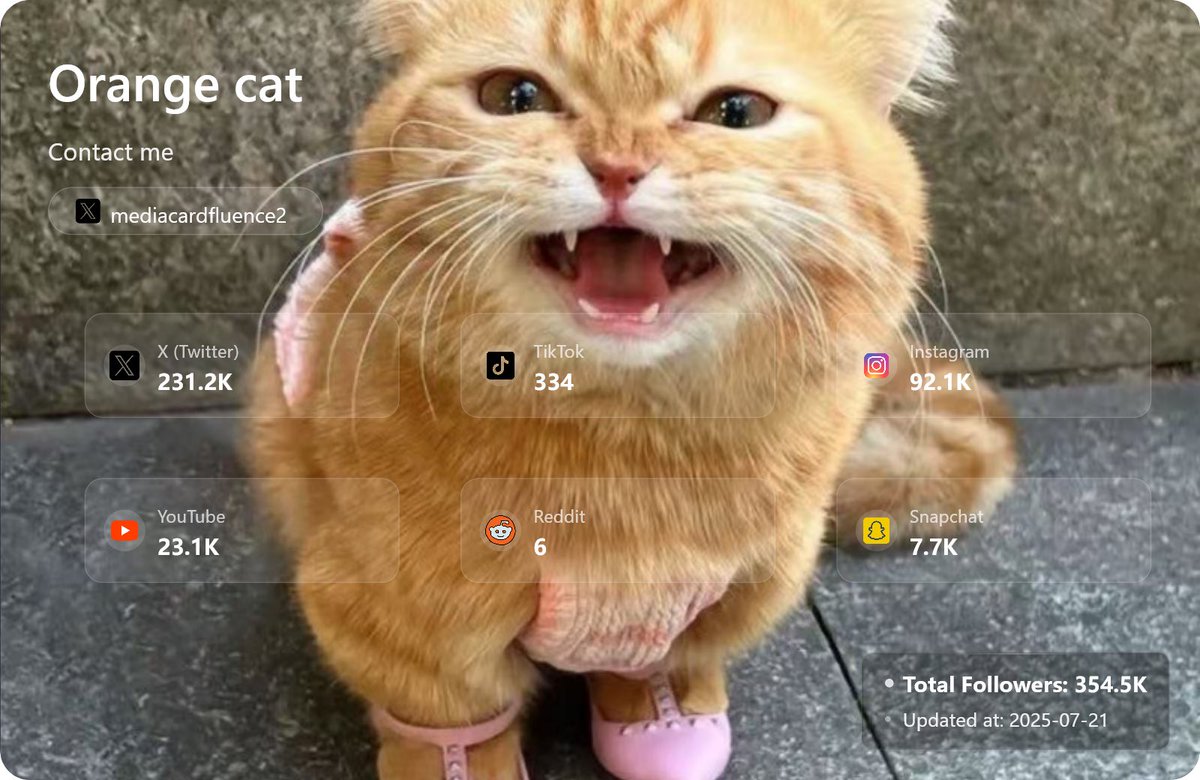 bazingajx229's tweet image. 🐾 The Orange Cat has a  card now
Built a sleek, social-friendly card for this internet-famous kitty.

📸 See it in action
🔗 Try it: mediacardfluence2.onrender.com
🔗 GitHub: github.com/maigamo/mediac…

#CardGenerator #PetInfluencer #DevTools #OrangeCat