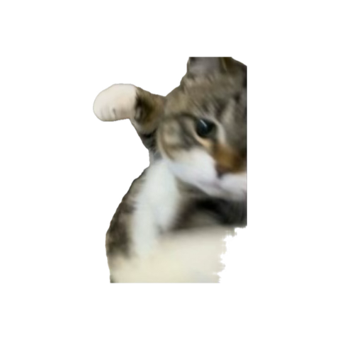 gxngrave's tweet image. taking my entrance exam for medic school today everyone say good luck Nikki