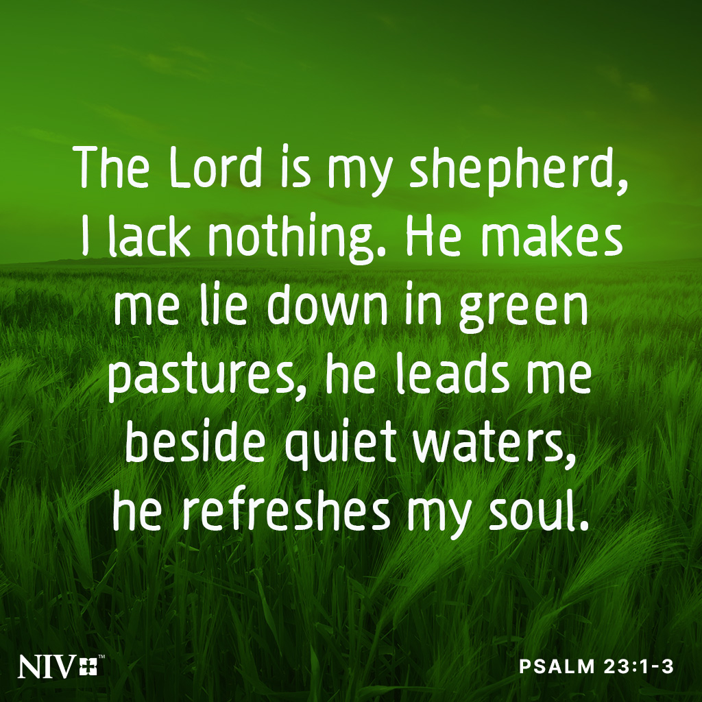 NIVBible's tweet image. The Lord is my shepherd, I lack nothing. He makes me lie down in green pastures, he leads me beside quiet waters, he refreshes my soul. He guides me along the right paths for his name’s sake. Psalm 23:1-3 #niv #nivbible #votd #verseoftheday
