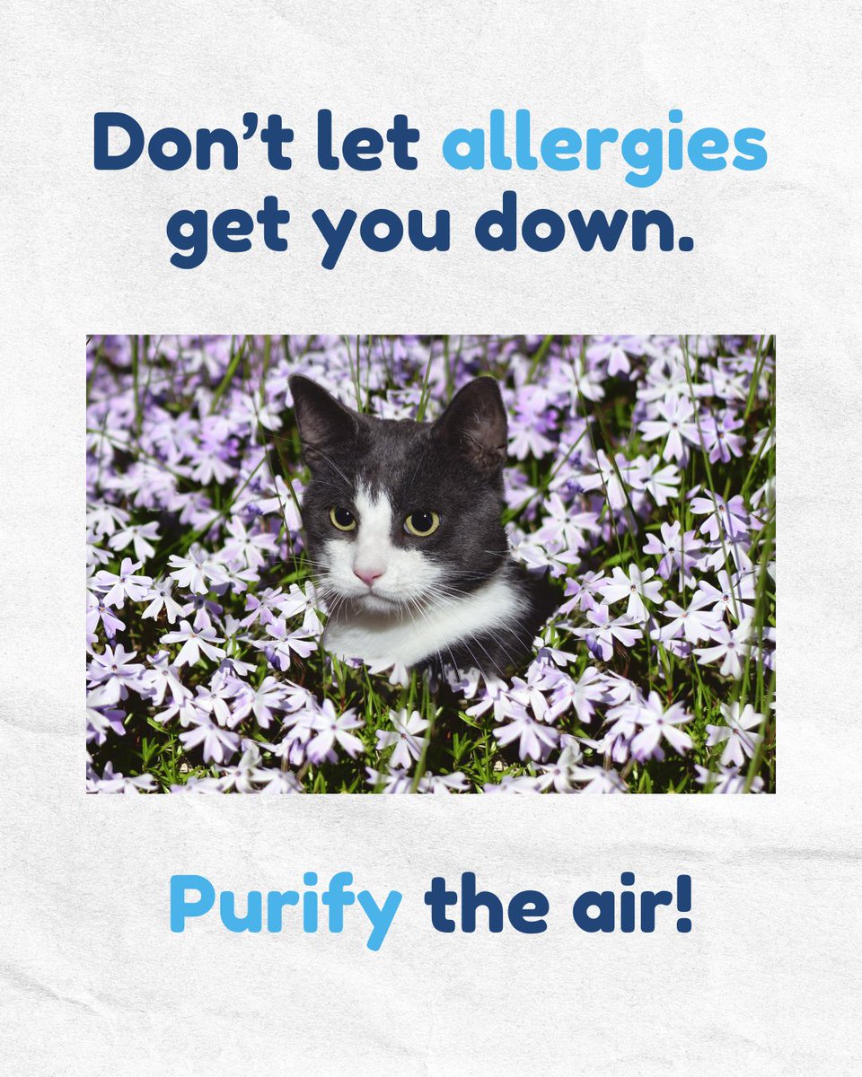 SmarterHEPA's tweet image. 🐈⬛ Our entire line of HEPA air purifiers can clean the air and help make allergies a thing of the past! You don't have to just live with it... clean the air and never look back.