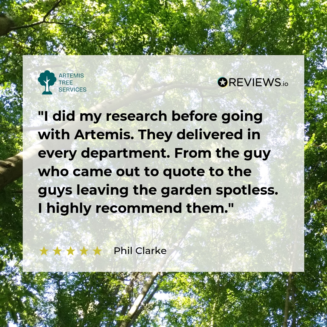 ArtemisTrees's tweet image. We&apos;re so proud of the work our team puts in — from the first visit to the final tidy-up. 🌿
It&apos;s always a pleasure to leave a garden looking better than we found it.
Thank you to everyone who trusts Artemis to get the job done right!🌳
#HappyCustomers #TreeCareExperts