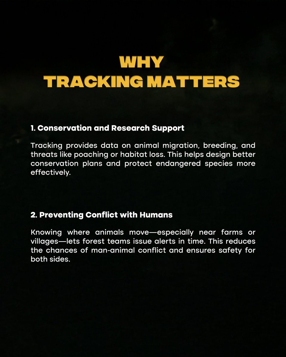 DTerritoryIndia's tweet image. Wildlife tracking is where scienceresearch meets survival—GPS collars, camera traps, and fieldwork help monitor species and protect habitats. Data saves wildlife.
#WildlifeConservation #TrackingTech #NatureMatters #EcoScience #technology #Wildlife #India