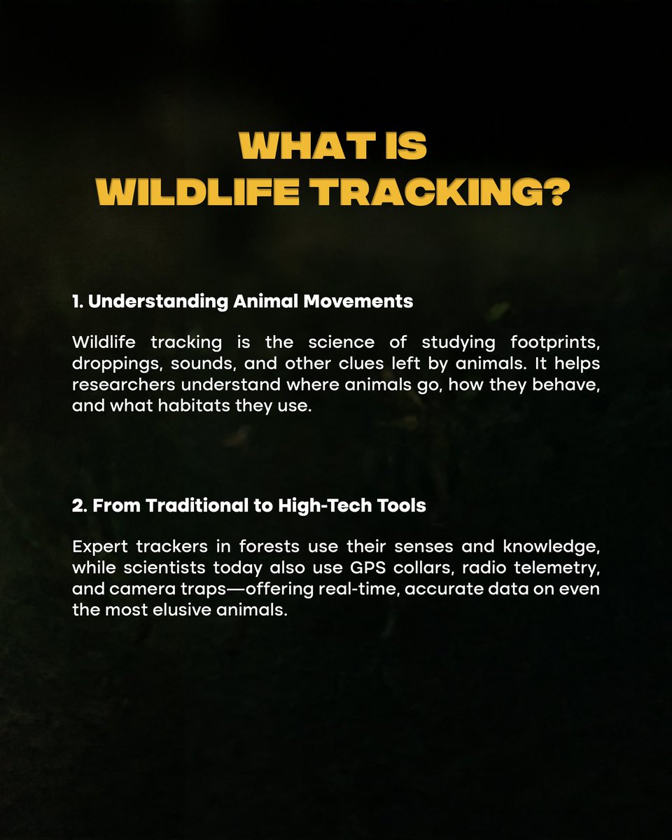 DTerritoryIndia's tweet image. Wildlife tracking is where scienceresearch meets survival—GPS collars, camera traps, and fieldwork help monitor species and protect habitats. Data saves wildlife.
#WildlifeConservation #TrackingTech #NatureMatters #EcoScience #technology #Wildlife #India